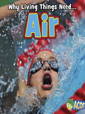 cover image of Air